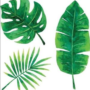 Meet your Posher, Jaime